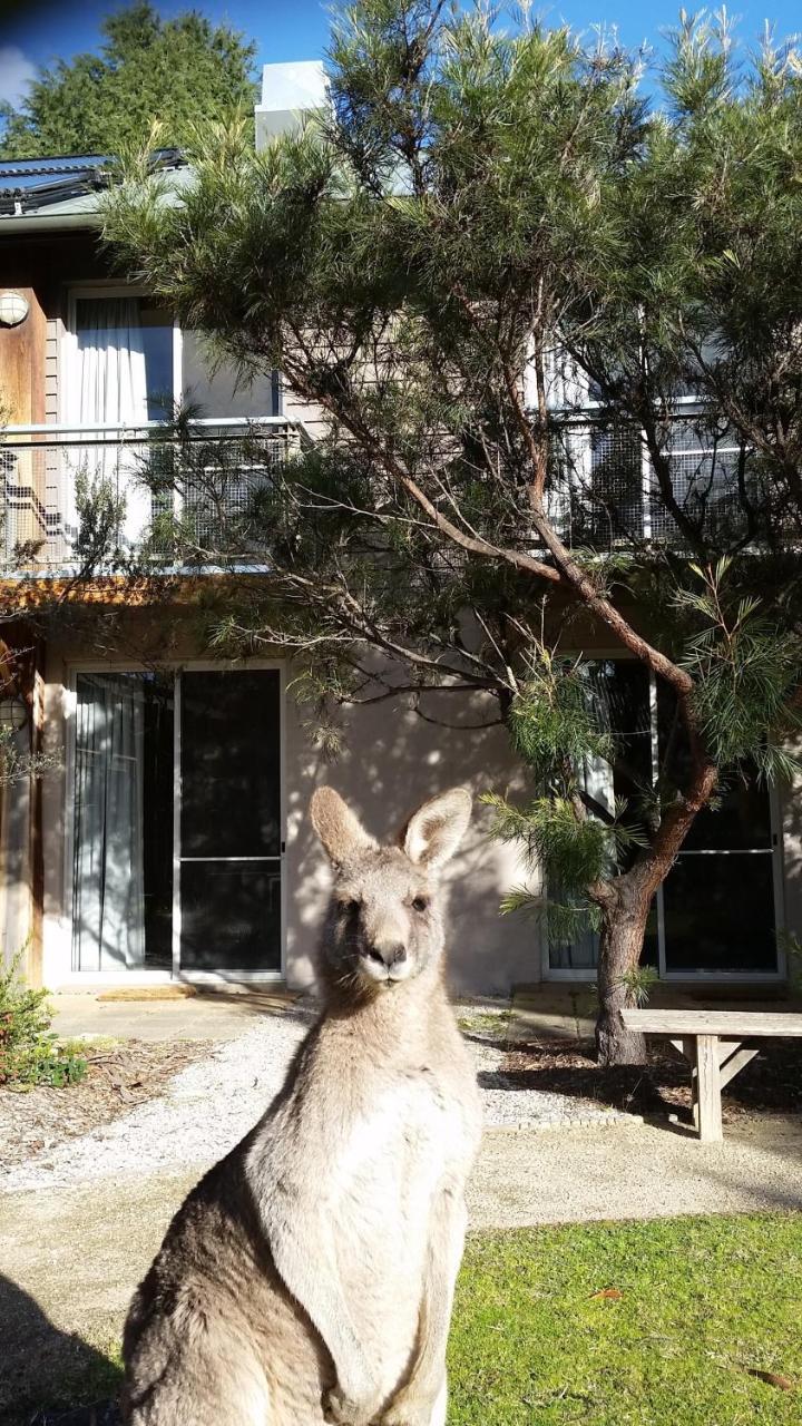 Yha Grampians Eco, Halls Gap Kültér fotó