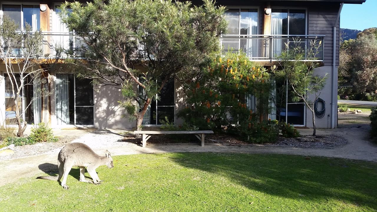 Yha Grampians Eco, Halls Gap Kültér fotó