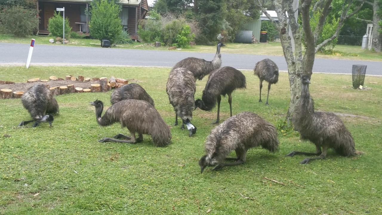Yha Grampians Eco, Halls Gap Kültér fotó